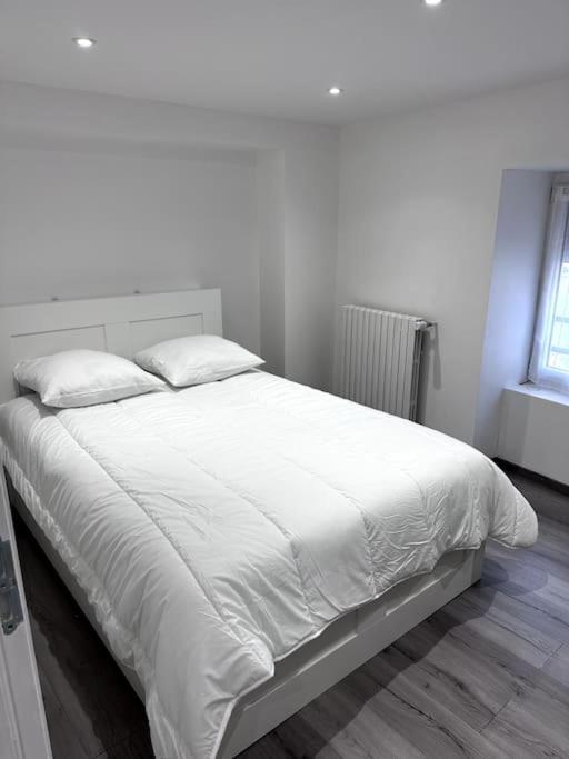 Appartement T4 En Hyper-Centre Bourgoin-Jallieu 외부 사진