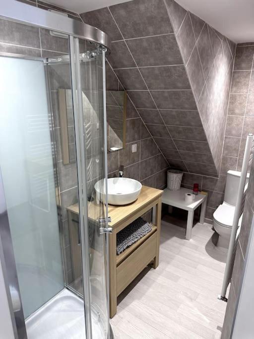 Appartement T4 En Hyper-Centre Bourgoin-Jallieu 외부 사진